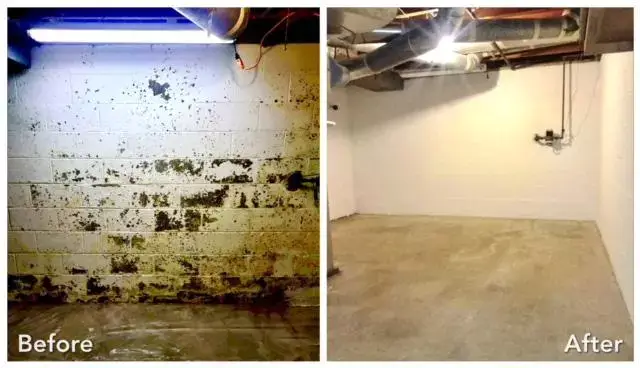 Mold Removal Fairfield Ct