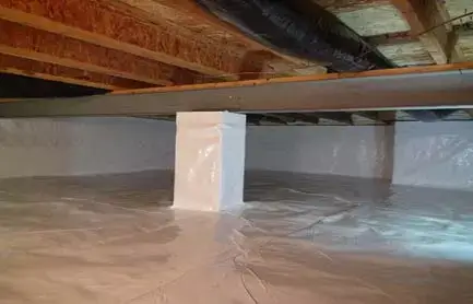 Basement Waterproofing, Foundation Repair, Mold Removal